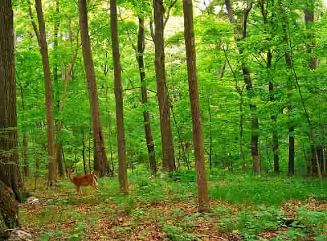 千车万人自驾中国“醉”美草原“99号公路”之旅暨《99号公路》网络微短剧项目启动
