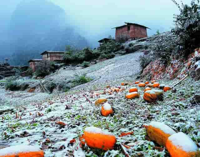 蔡嘉珍榮獲註冊理財規劃師資格