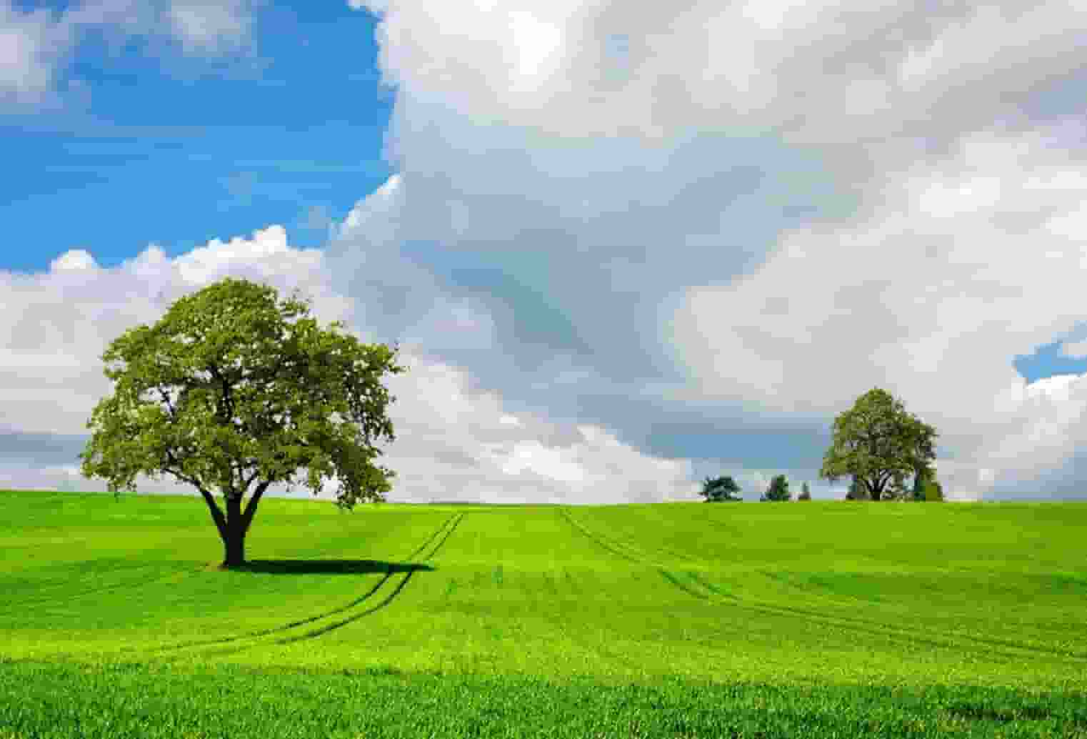 江西宜春萍乡井冈山5日游，在青山绿水美景中传承红色记忆