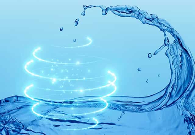 中招报考注意什么