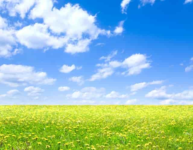 珠海传销要如何识别