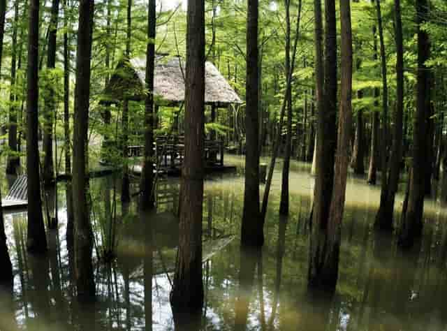 终于明白为何汉族没有泼水节，不是缺水关键在服装，不信你看图