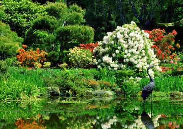 上海假期游客人从众，位于市中心的这座公园游人少，还能免费游览