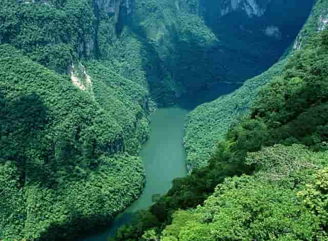 50etf 期权必找大G期权训练营口碑好