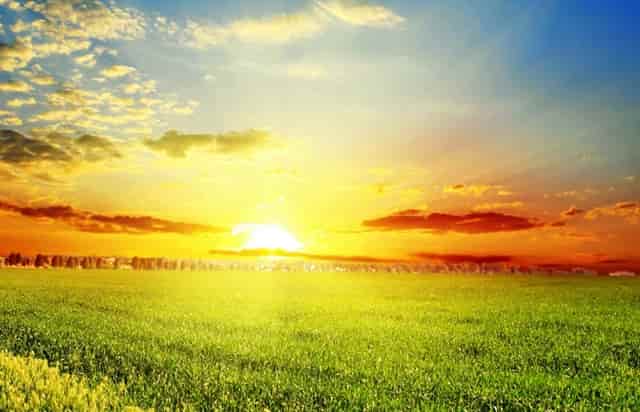 上海宋城新玩法，一栋楼就是一处演艺世界，游客还可以体验带餐秀