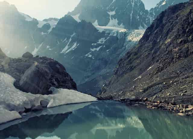 当你没有朋友时你需要什么