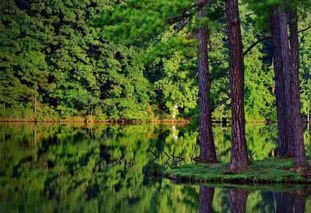 曾经是江南最重要的妈祖庙之一，作为全国重点文物，却没什么游客