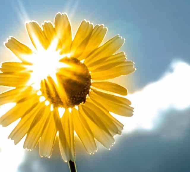 1500万豪宅被拍卖，547轮竞价后2514万成交！有人直呼都疯了吧