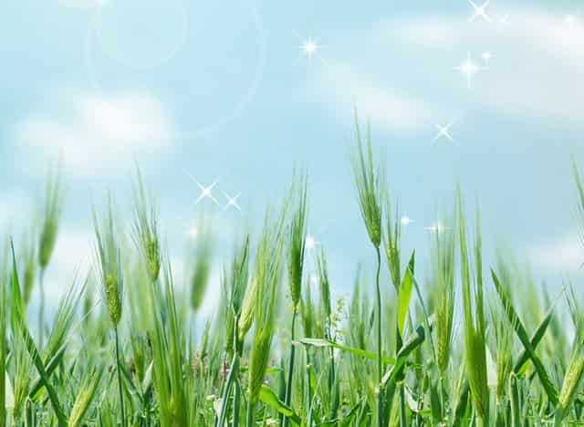 中国铁建·湘语梅溪|生活的每一天因有你而美好