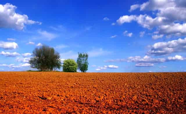 对话硅谷著名华人陈建璋