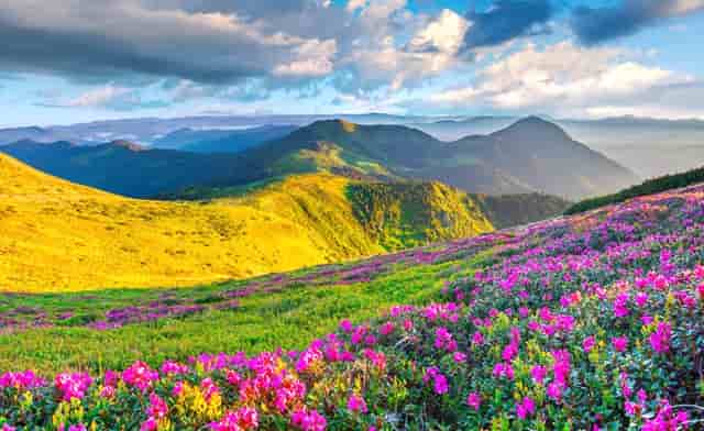 赣州特色小镇，内有“九井十八厅”建筑，是赣南客家人的“豪宅”