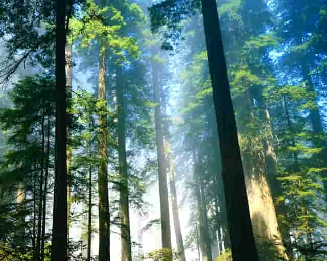 失业保险金到账2次