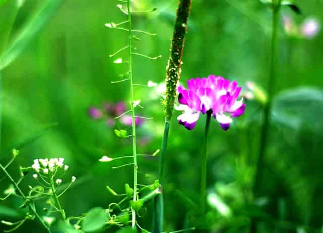大理苍山下火爆的新田园生活，正浩户外电源让你露营生活不断电