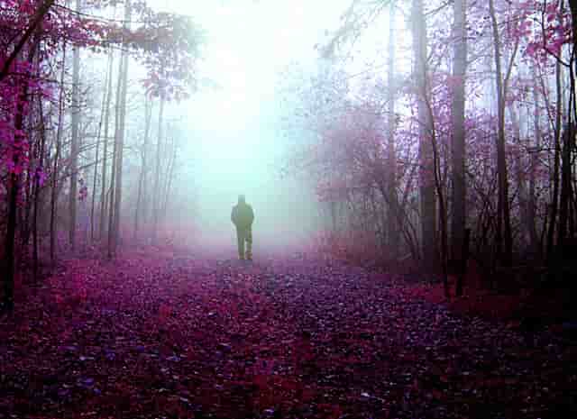中国铁建·湘语梅溪|6#栋央景楼栋，敬献城市峰层人士