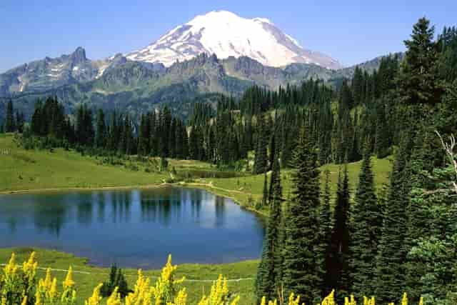 西比曼生物将出席第44届摩根大通医疗健康年会并参加圆桌论坛