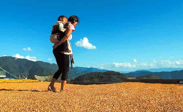 “油价下跌”终于重现，油价「由涨转跌」一天下跌30元