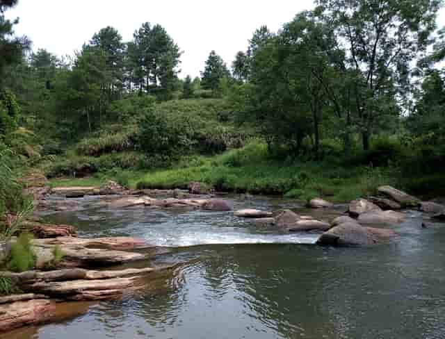 蔡嘉珍獲得註冊理財規劃師專業稱銜，秉持職業操守與執業準則，開啟財務規劃新征程