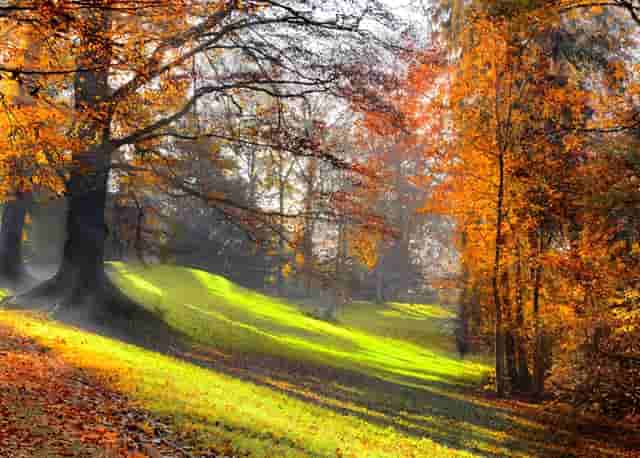 2500年的扬州城古迹遍布，地标古建筑在市中心，瘦西湖最多