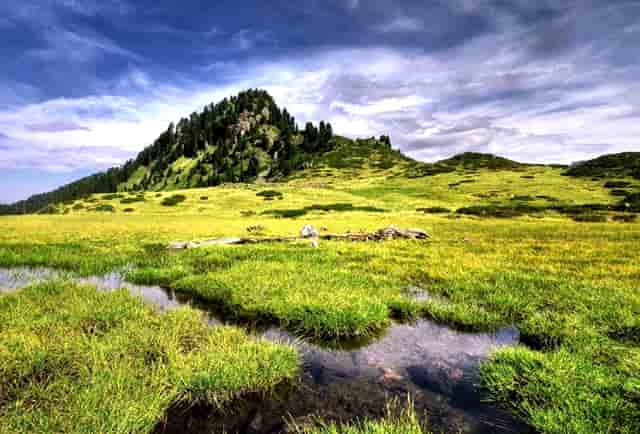 全民须知，找回走丢的孩子！