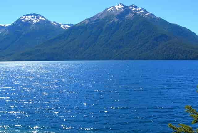 袖虎警告：这样洗澡会死猫！