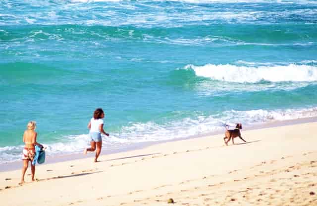 在小学教育上的教学改革(浅谈当代小学教育教学改革)