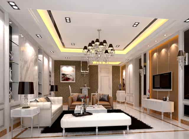 党支部和党员委员会