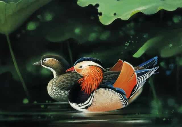 国产Model 3突降价引老用户不满 特斯拉：一切都公开透明