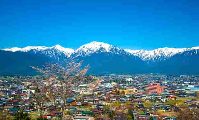 袖虎病猫攻略：猫猫上火那些事