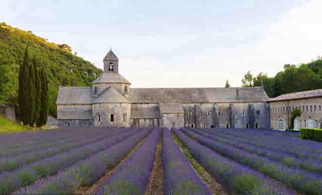 保障性租赁住房建设供应情况(保障性租赁住房建设的推进情况)