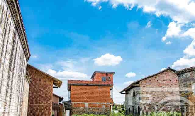 袖虎病猫攻略：猫感冒的原因和预防