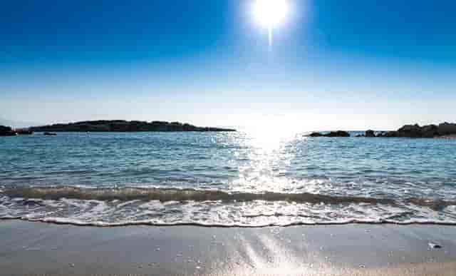 袖虎病猫攻略：猫不出门也会感染猫瘟吗？是！