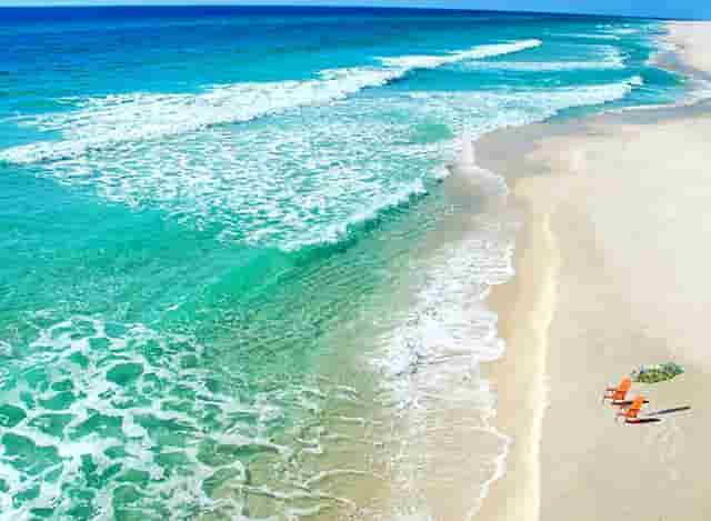 袖虎病猫攻略：猫咪多囊肾是什么