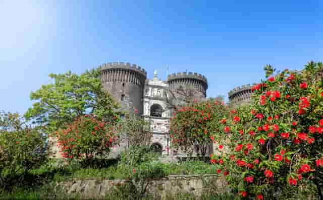 袖虎病狗攻略：该给狗狗吃什么？