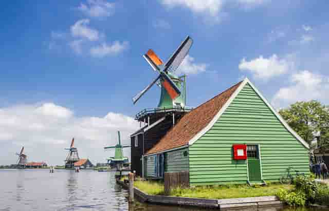 袖虎病猫攻略：猫咪发情原因