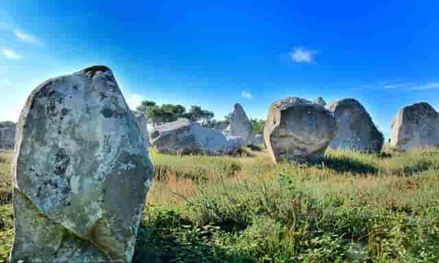 袖虎病狗攻略：这个问题不搞清楚会被狗咬