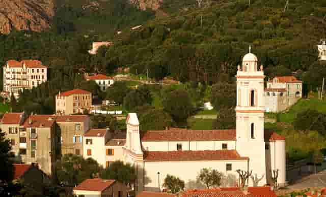 宠物经济前景广阔，袖虎宠物规模声势浩大！