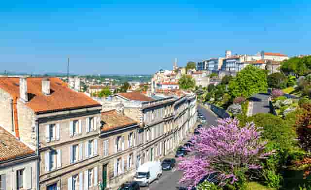 袖虎病猫攻略：买到猫癣的猫怎么办