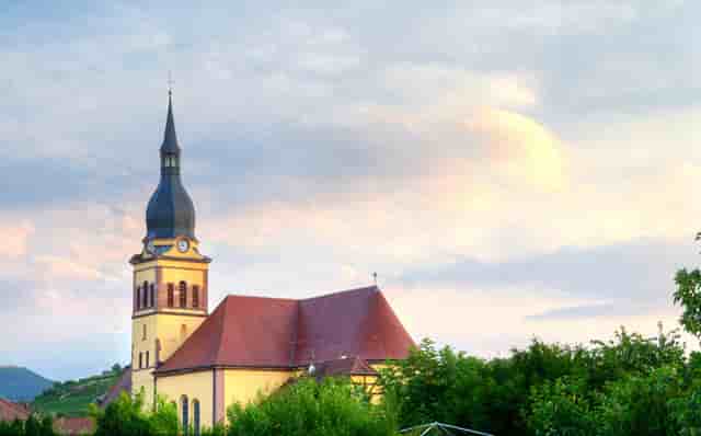 袖虎病狗攻略：狗瘟的症状你了解吗？