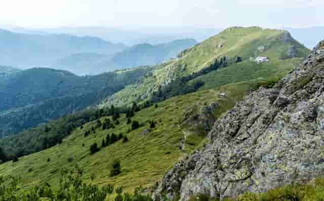 袖虎病猫攻略：猫咪得了角膜炎怎么办