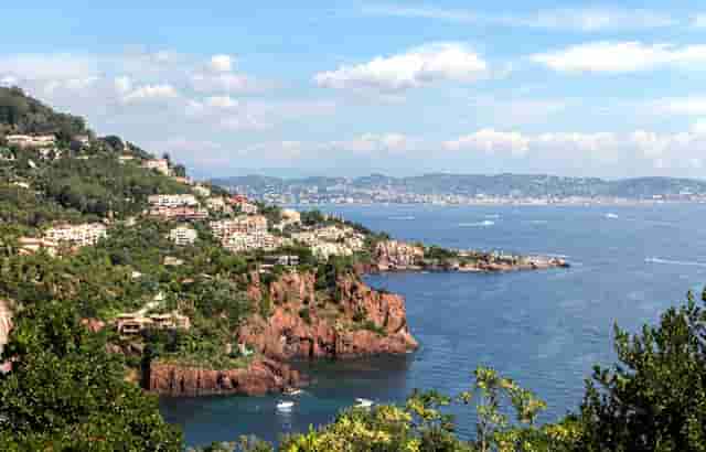 袖虎宠物商业调查：开宠物店如何采购活体资源