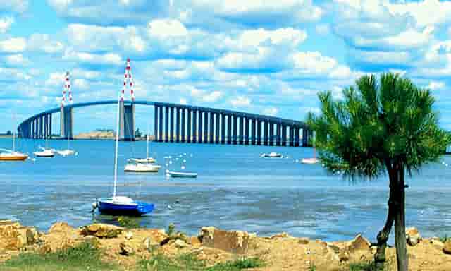 宁德时代造新能源车