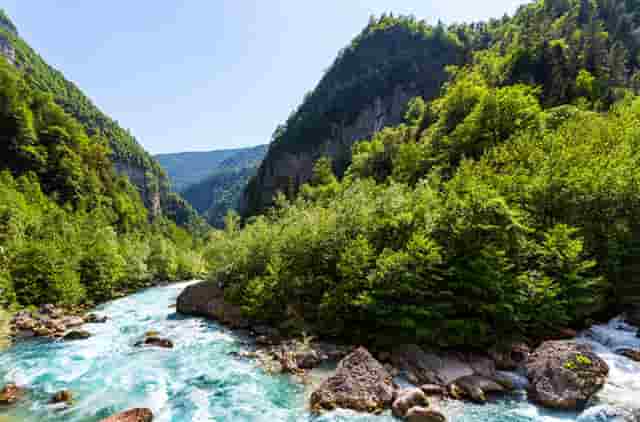 海贼王第1021话(海贼王984话)