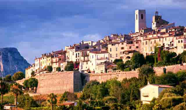 袖虎宠物捅出常见套路