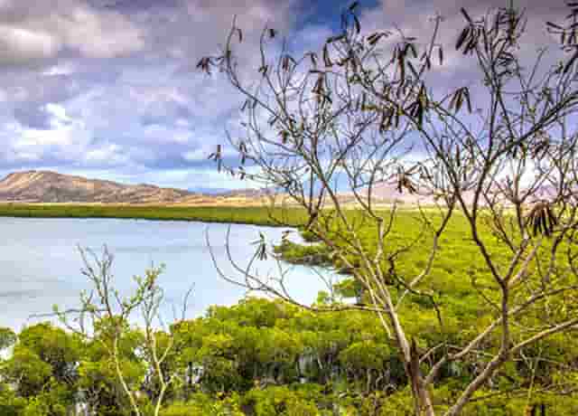 袖虎病猫攻略：猫咪秋季常患疾病