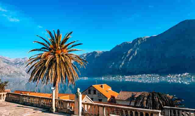 开宠物店需要多少钱？袖虎宠物低成本高收入！