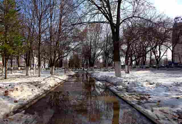 公司的理财怎么选(当下应该怎么选理财)