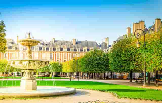 袖虎病猫攻略：折耳猫一定会发病吗？