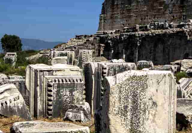 现在是商务机(为什么现在商务)