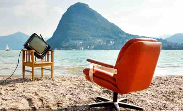 袖虎宠物拥有科学的繁育体系！值得加盟！