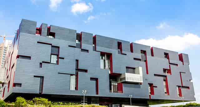 袖虎病猫攻略：猫咪耳朵肿，别想省钱啦！